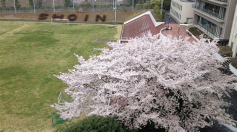 松蔭大学 やばい|松蔭大学 口コミ